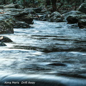 princealbert穿孔环
