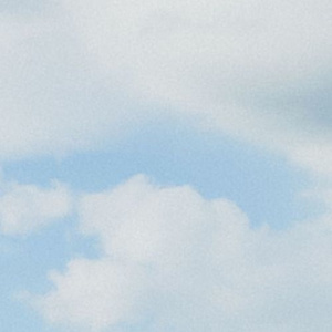 princealbert穿孔环
