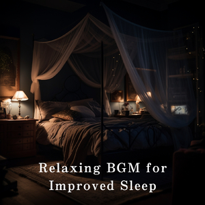 princealbert穿孔环
